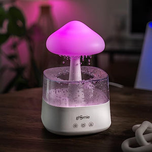 Rain cloud humidifier & calmer