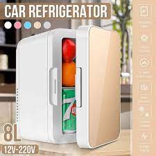 Car Cooling and warming refrigerator