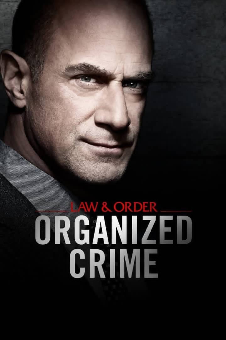 Organized crime 2021(hard copy)