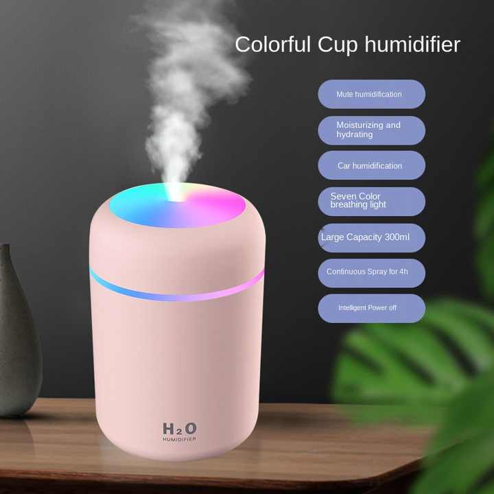 Home & Car Air Humidifier-300mls